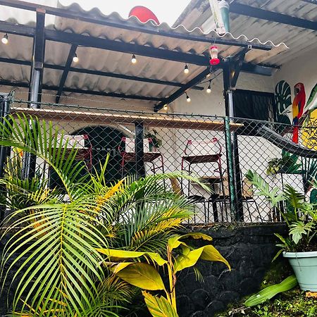 Casa Blanca Hostal ミンカ エクステリア 写真