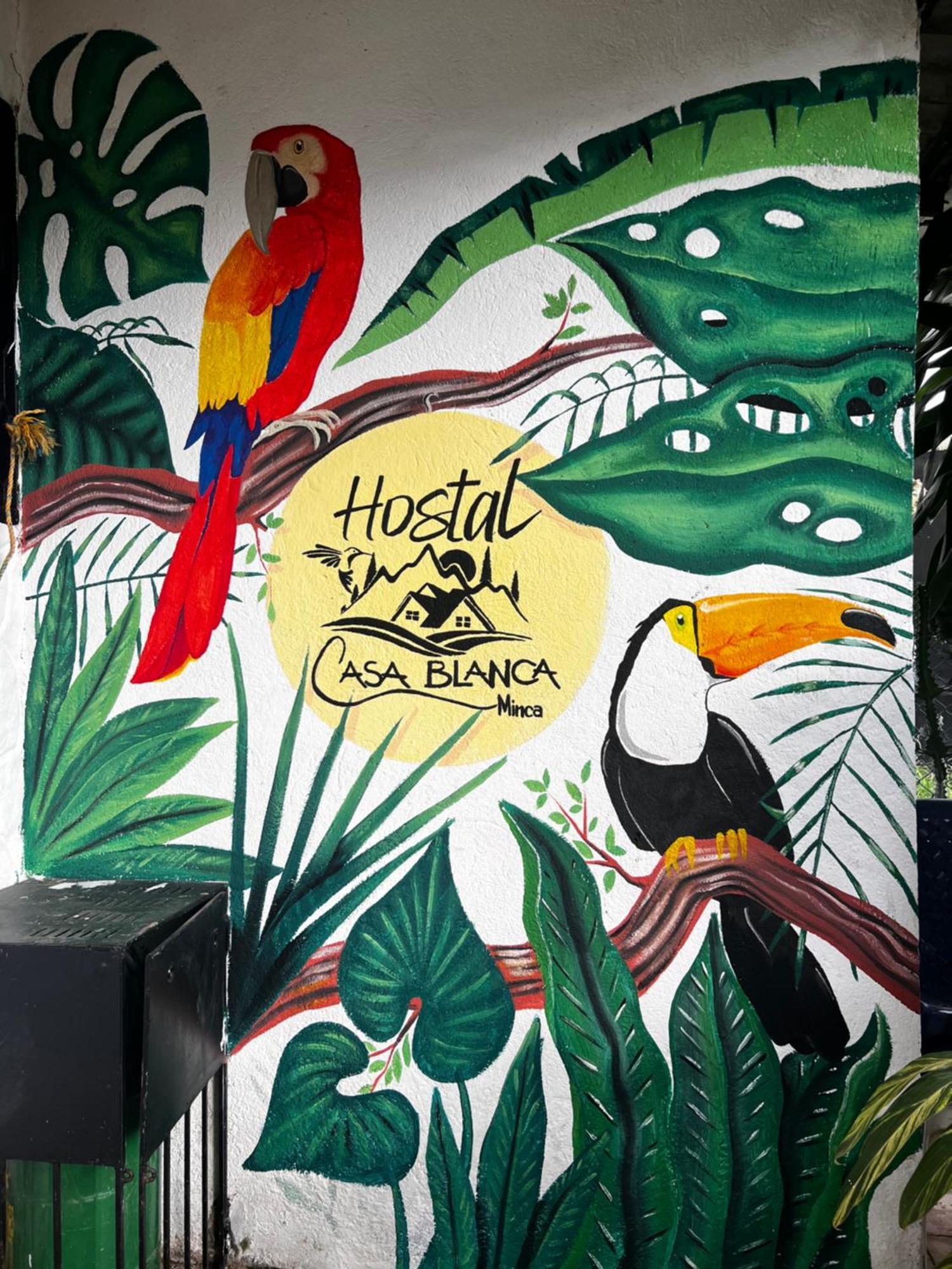 Casa Blanca Hostal ミンカ エクステリア 写真